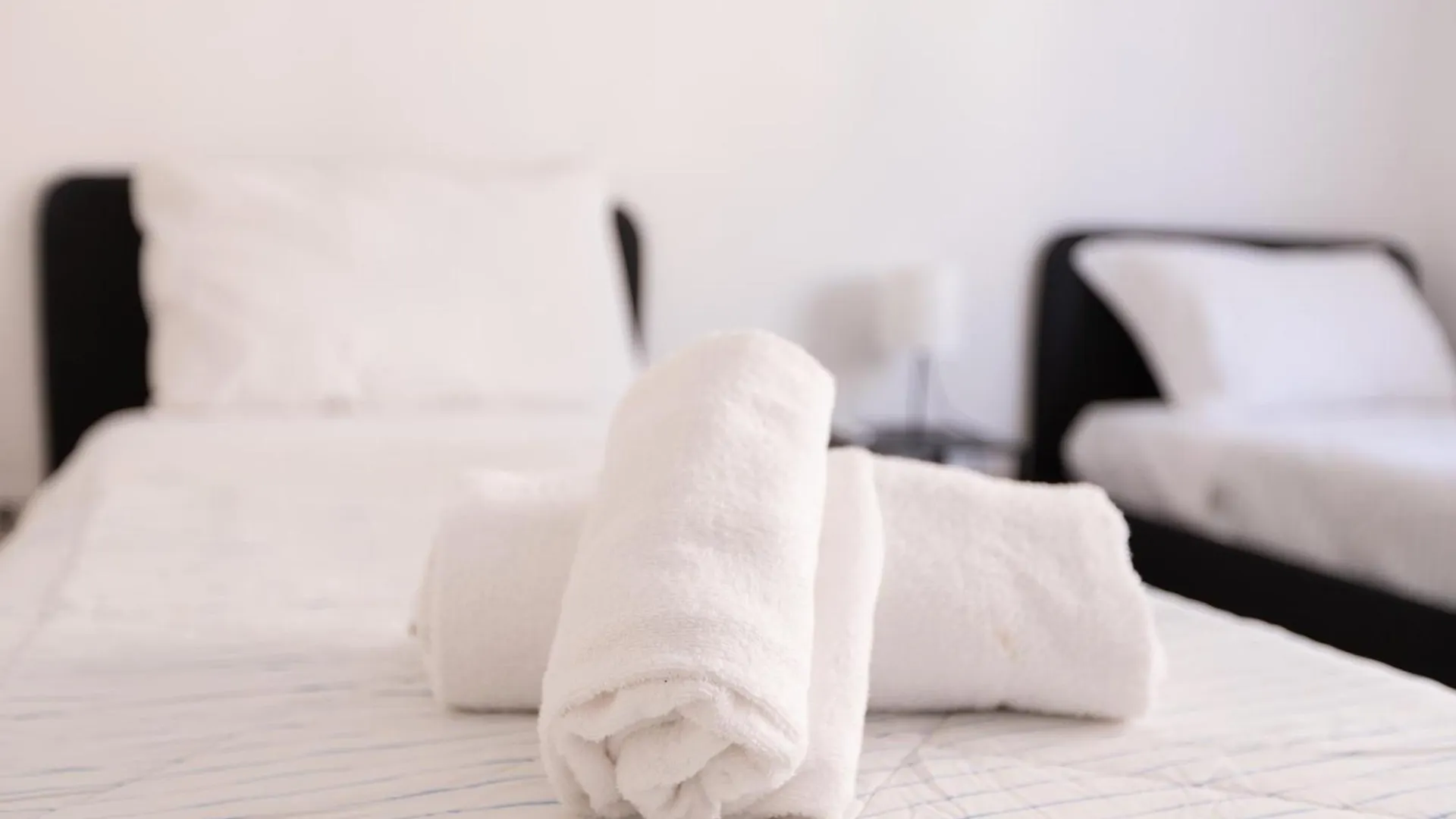 Flaviano 30 Cozy Apartment Rome 0*,  Italy